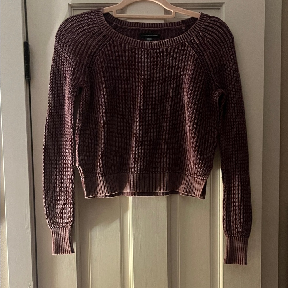 American Eagle Outfitters Maroon Crew Neck Sweater